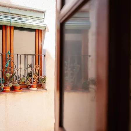 - Cerca De La Alhambra - Qh Animas 5,02 Granada